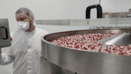 В ОЭЗ «Дубна» будут производить пустые желатиновые капсулы для фармы