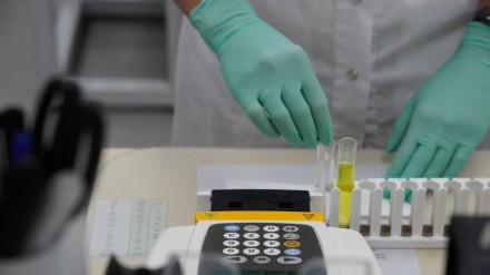 Производитель медицинских изделий из ОЭЗ «Дубна» планирует увеличить мощности до 250 тыс. упаковок тест-полосок в год