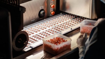 Подмосковная фармкомпания на 80% увеличила выпуск генно-инженерных биологических препаратов